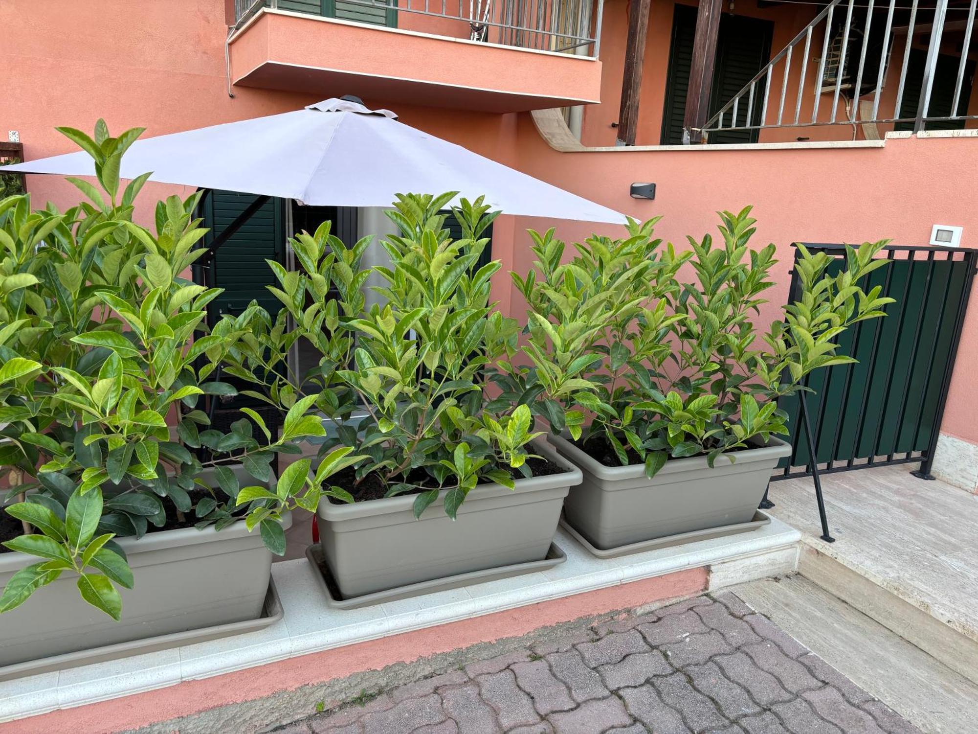 Casa Vacanza Scala Dei Turchi Realmonte Exterior photo